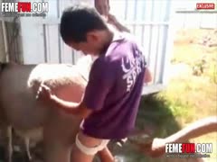 A guy fucking a donkey in a pornographic animal sex scene